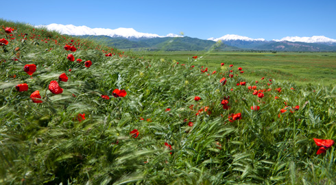 Moldova